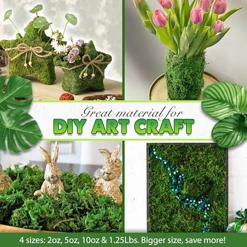 [Upgraded] DUSPRO Green Moss for Crafts, Real Forest Moss Potted Plants, Decorative Mosses for Table Centerpieces Wedding Christmas Fairy Party Decor, Indoor Planters, DIY Project (1.25 Lbs)