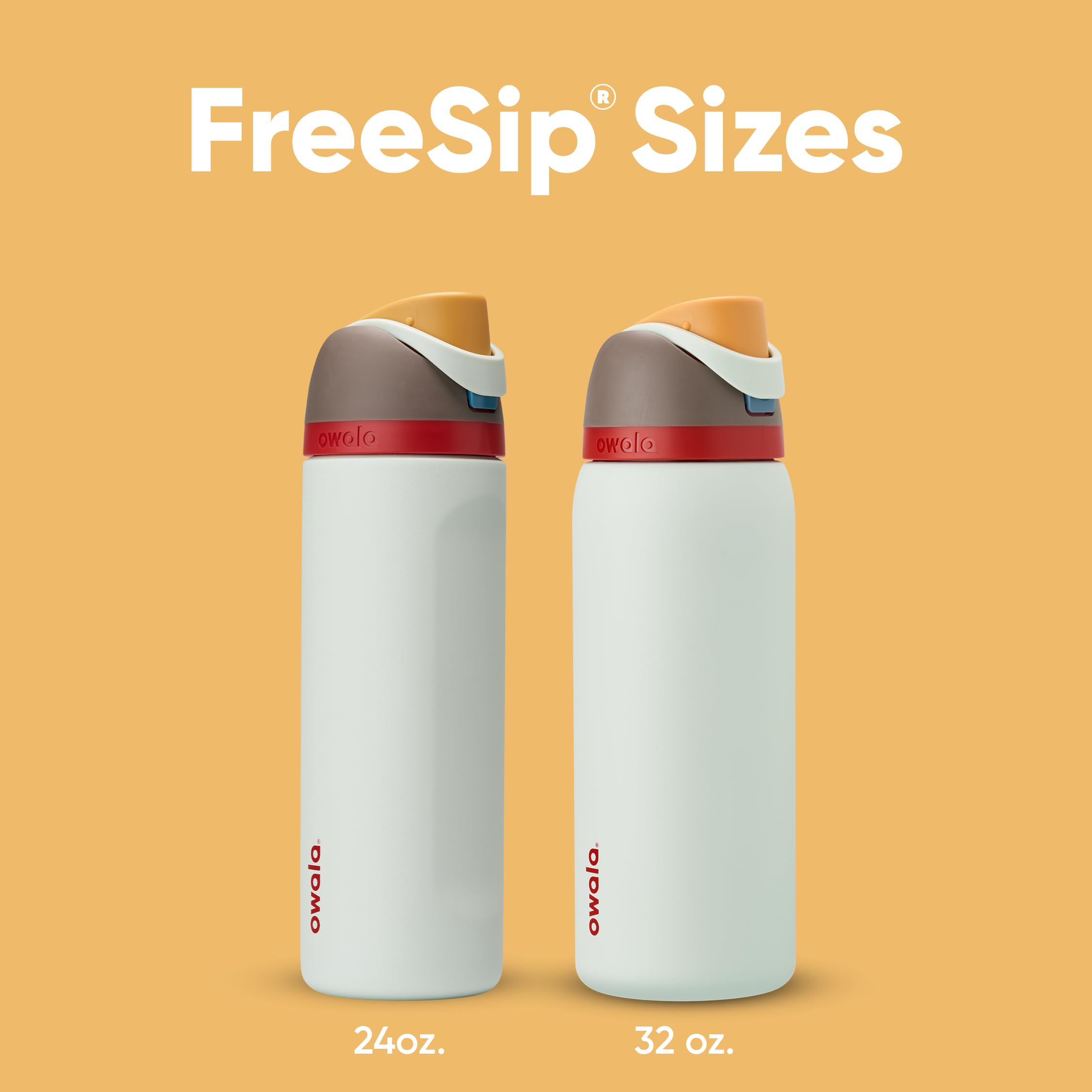 Owala FreeSip Insulated Stainless Steel Water Bottle with Straw, BPA-Free Sports Water Bottle, Great for Travel, 24 Oz, Boneyard