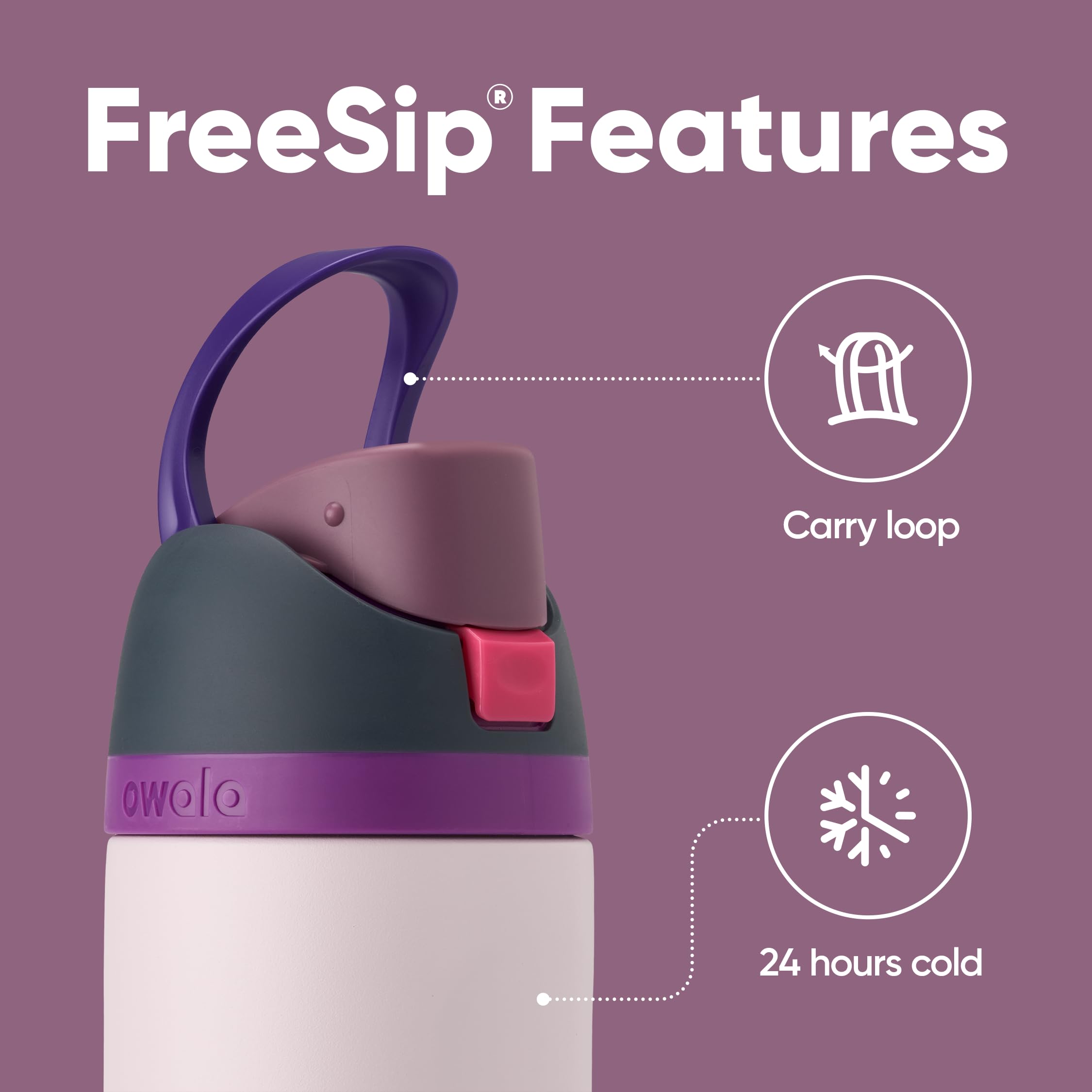 Owala FreeSip Insulated Stainless Steel Water Bottle with Straw for Sports and Travel, BPA-Free, 24oz, Dreamy Field