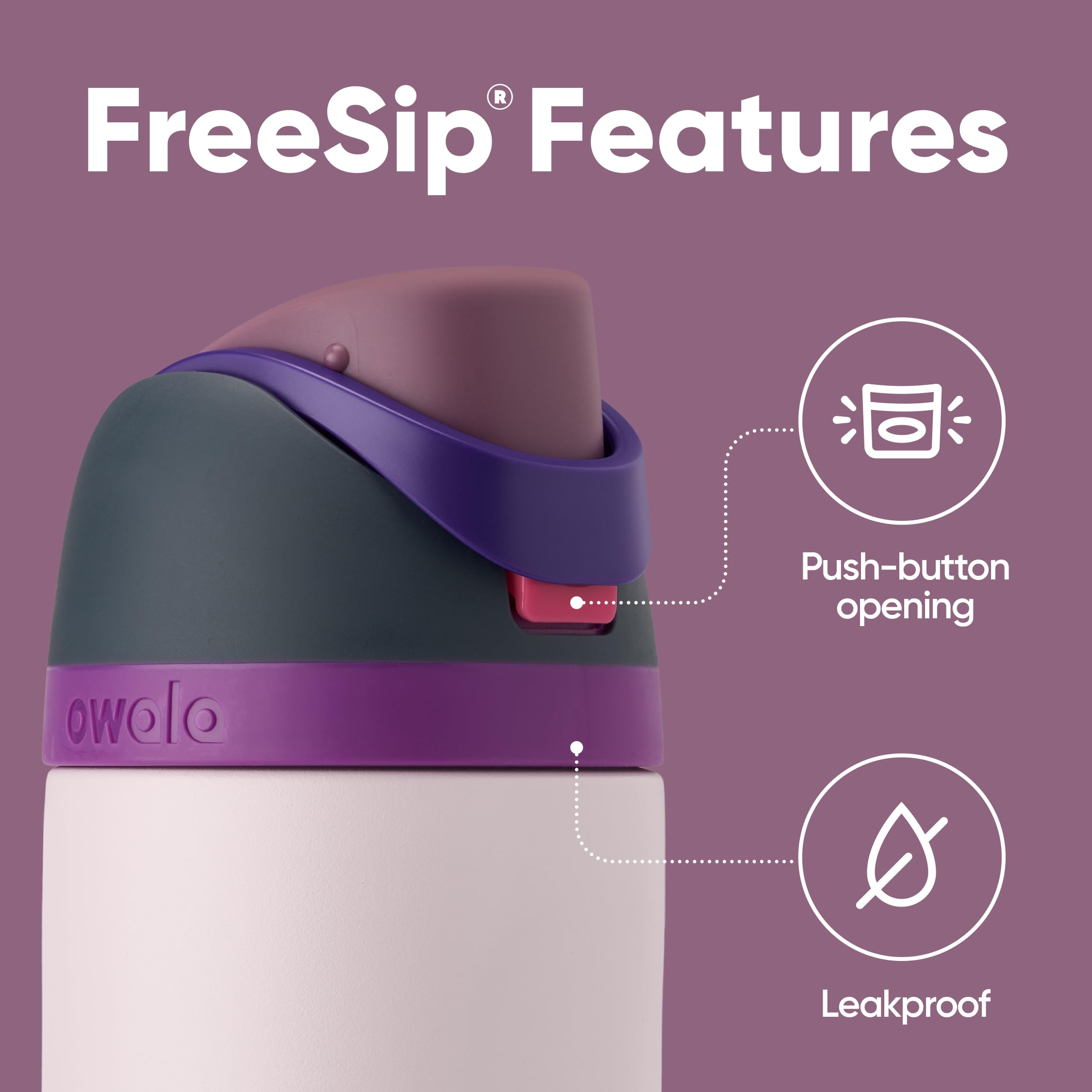 Owala FreeSip Insulated Stainless Steel Water Bottle with Straw for Sports and Travel, BPA-Free, 24oz, Dreamy Field