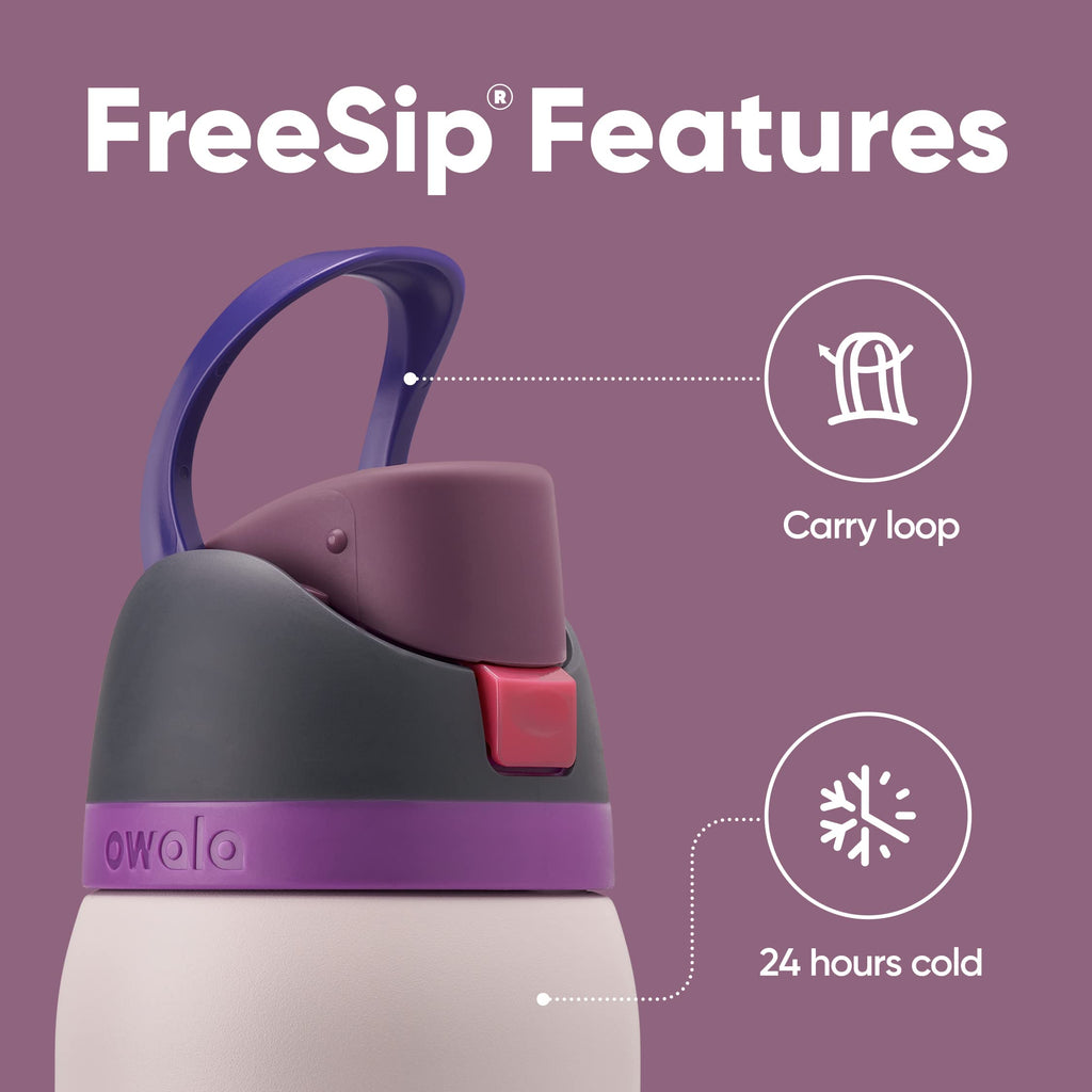 Owala FreeSip Insulated Stainless Steel Water Bottle with Straw for Sports and Travel, BPA-Free, 40oz, Dreamy Field