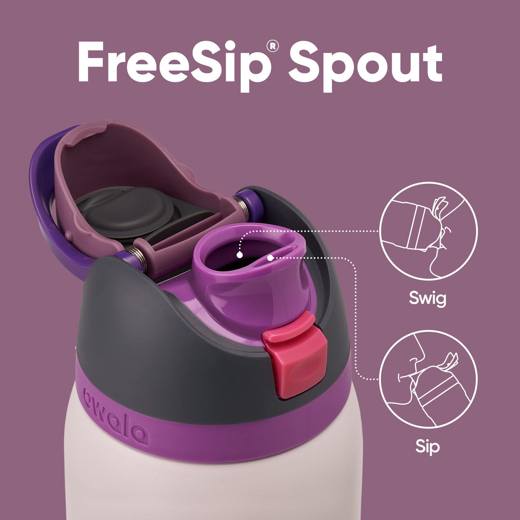 Owala FreeSip Insulated Stainless Steel Water Bottle with Straw for Sports and Travel, BPA-Free, 40oz, Dreamy Field
