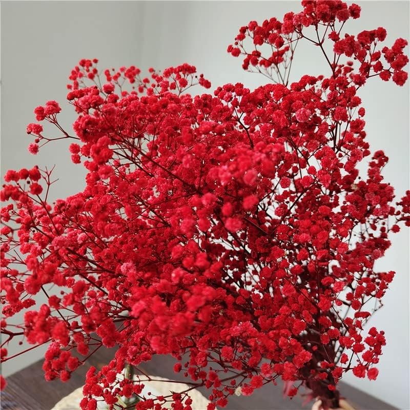 3800+ Dried Red Babys Breath Flowers Bouquet, 17" Dried Flowers for Vase, Preserved Gypsophila Branches for Crafts, Wedding, Christmas, Valentine‘s Day, Home Party Decor, DIY Wreath Floral(3Oz)