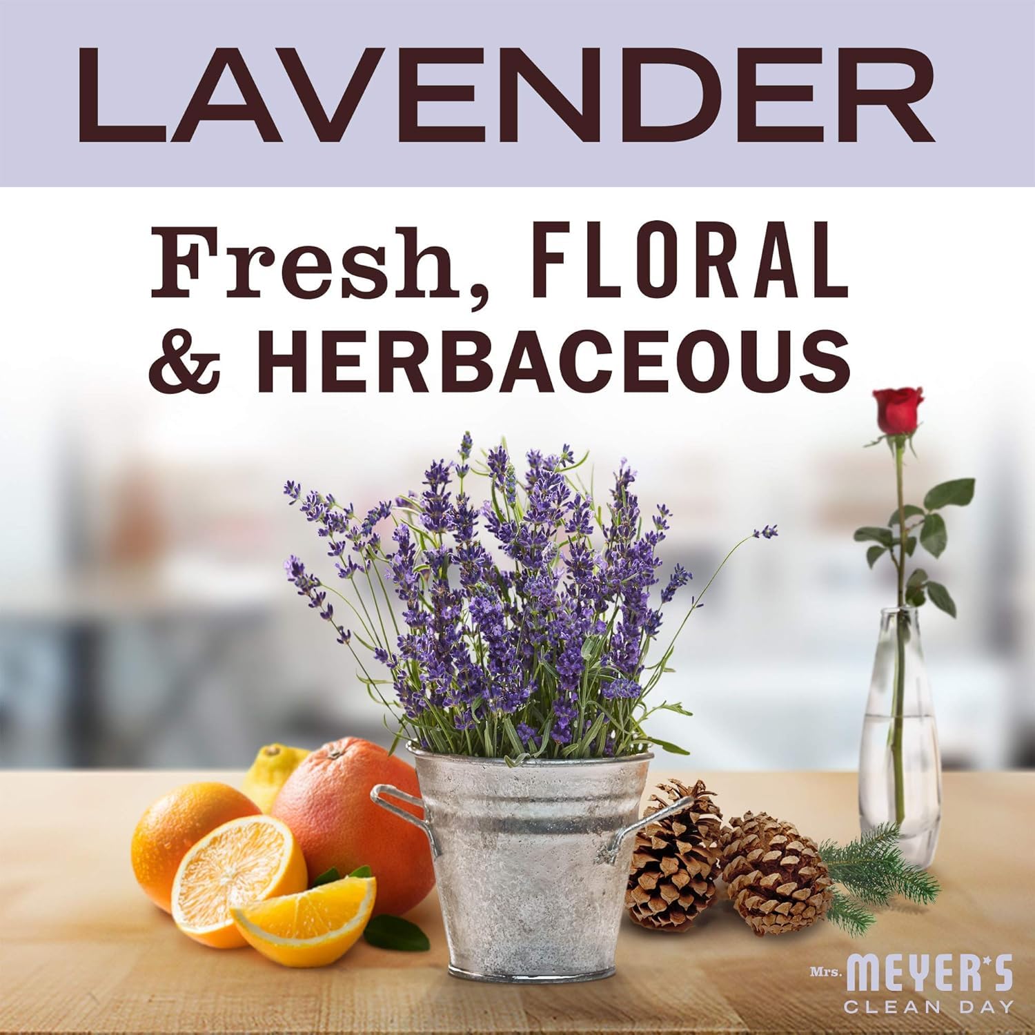 MRS. MEYER'S CLEAN DAY Hand Soap Refill, Made with Essential Oils, Lavender, 33 fl. oz - Pack of 6