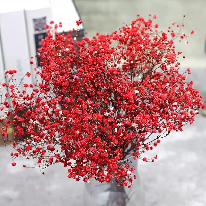 3800+ Dried Red Babys Breath Flowers Bouquet, 17" Dried Flowers for Vase, Preserved Gypsophila Branches for Crafts, Wedding, Christmas, Valentine‘s Day, Home Party Decor, DIY Wreath Floral(3Oz)
